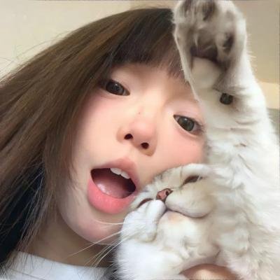 忍者与极道