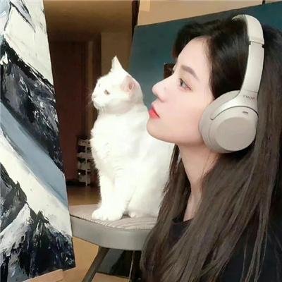 梦游故宫